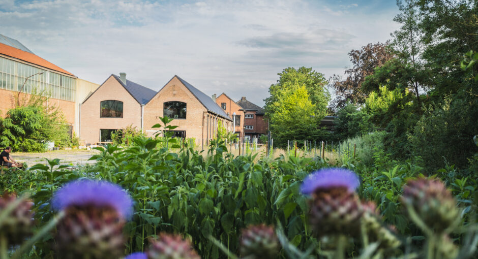 SOBER-11JULI2023-TUIN-106